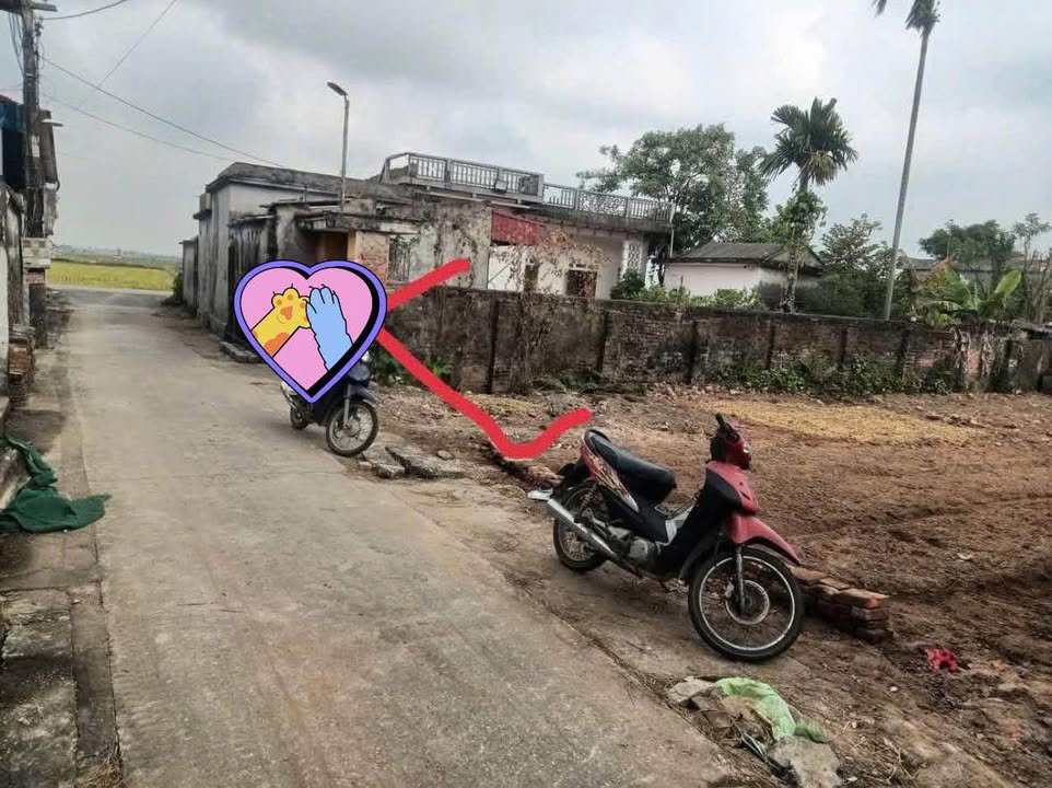 Đất thổ cư xã Dương Phúc, huyện Thái Thụy, 75m² giá chỉ vài trăm triệu - Cơ hội đầu tư lý tưởng!