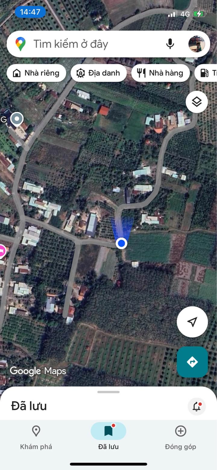 Đất cây lâu năm Gia Lộc Trảng Bàng 6000m² - Đầu tư lý tưởng!