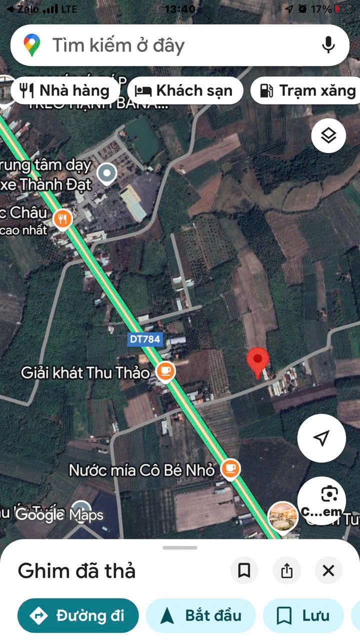 Đất Farm Trúc Đào - 2000m² giá 1.5 tỷ - Tiềm năng nghỉ dưỡng tuyệt vời!