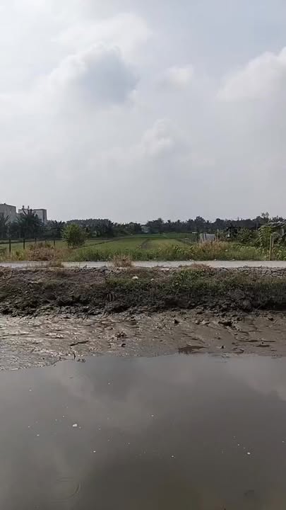 Đất nền mặt tiền đường Hà Duy Phiên, xã Bình Mỹ, Củ Chi 1168m² - Giá chỉ 6.5 tỷ thương lượng!