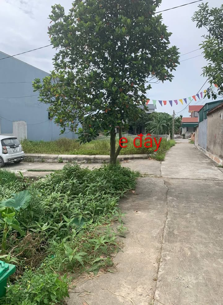 Đất lô góc thôn Nhuận Tây, xã Đường An 62m² giá 8xx triệu - Đầu tư sinh lời!