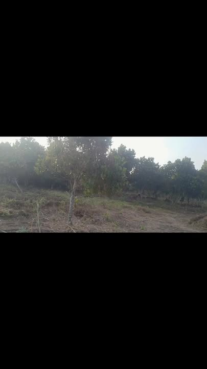 Đất thổ cư Ấp 5, Xã Xuân Định, 20.000m² chỉ 3.168 tỷ - Cơ hội đầu tư hấp dẫn!