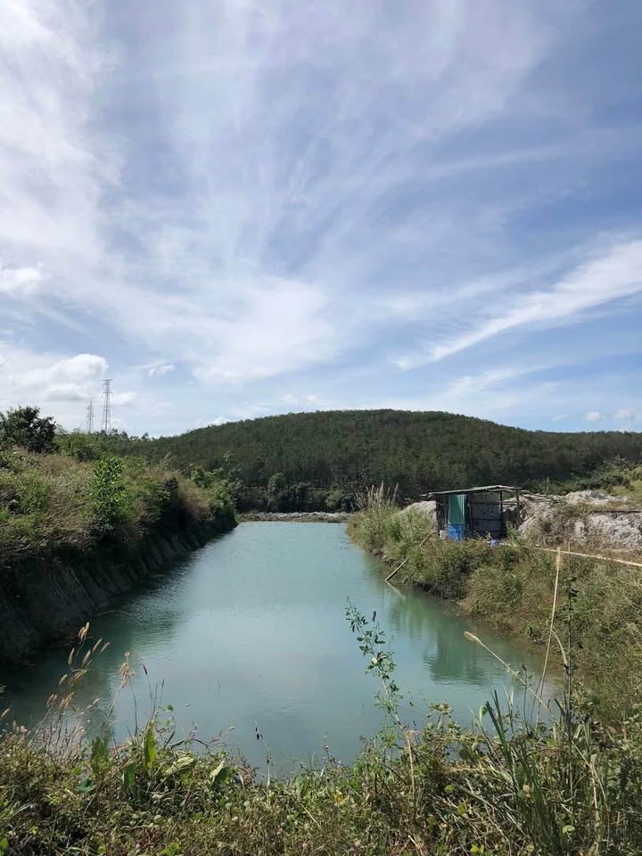 Đất Farm Thôn Nhơn Tân, Gia Lai 2,5ha - Giá chỉ 1.75 tỷ - Đầu tư sinh lời!