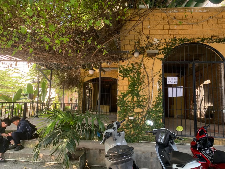 Cho thuê căn hộ tại đường Quang Trung, Hải Châu, Đà Nẵng - Giá thỏa thuận hấp dẫn!