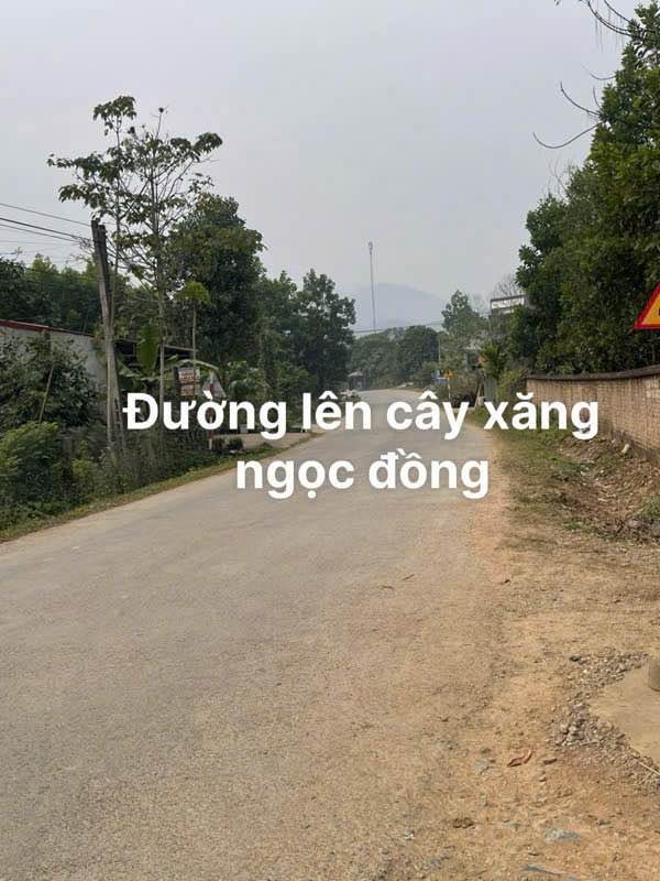 Đất nền xã Ngọc Đồng, huyện Yên Lập 70m² giá 500 triệu - Đầu tư sinh lời trong tương lai!