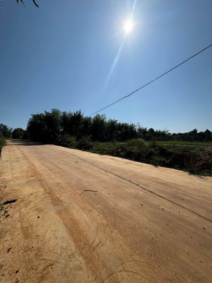 Đất nền Hẻm Vành Đai 10/3, Giải Phóng 1793m² giá 3.9 tỷ - Tiện ích đầy đủ, đầu tư sinh lời!