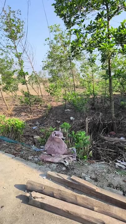 Đất nền mặt đường Hoa Mỹ, Nghi Lộc, 150m² - Cơ hội đầu tư sinh lời!