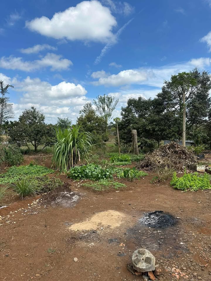 Đất Tân Lập Hoà An 318m² giá 700 triệu - Đầu tư sinh lời ngay!