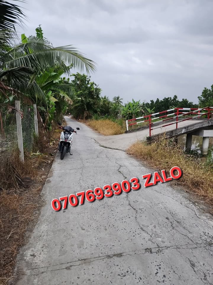 Đất liền kề tại Đường Hàng Tràm, Phường Tân Lộc, Cần Thơ - Giá chỉ từ 500 triệu!