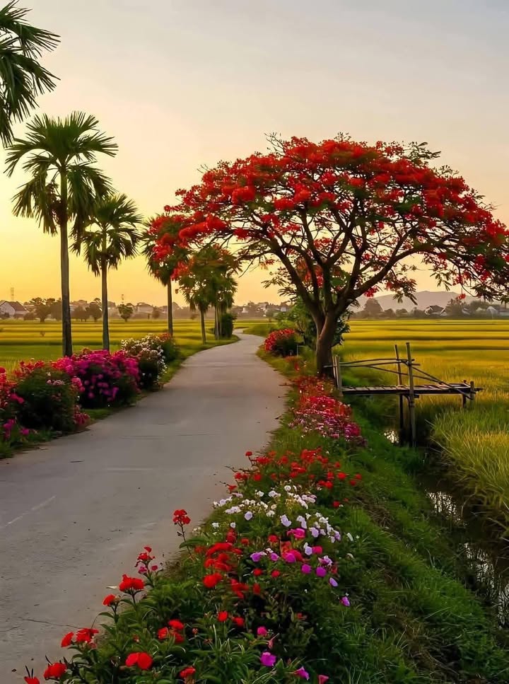 Nhà mặt tiền Liên xã Thanh Điền, Tây Ninh 244m² giá 1.1 tỷ - Đầu tư sinh lời!