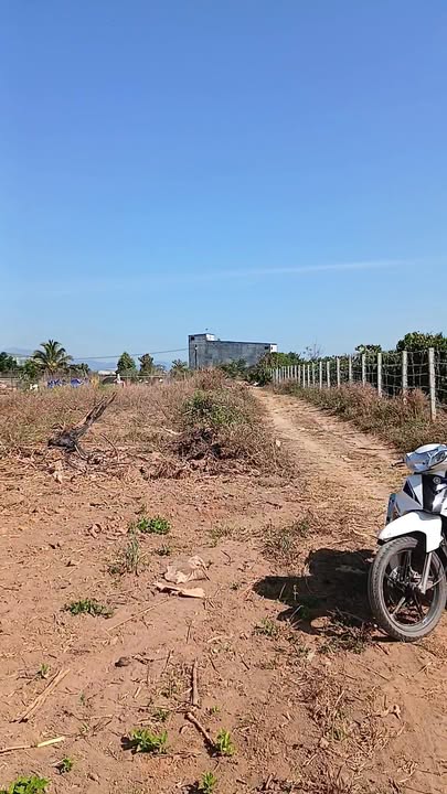 Đất thổ cư tại Thôn Tân Lập A, 294m² giá thỏa thuận - Đầu tư sinh lời ngay!