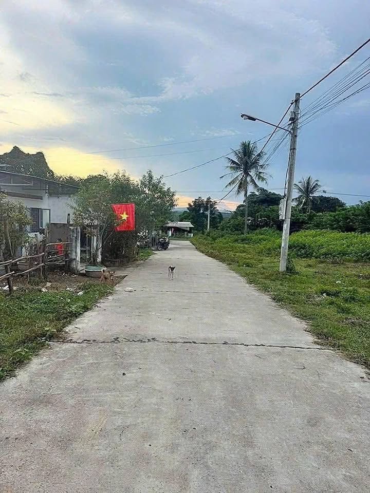 Lô đất thổ cư 240m² tại thôn 4, Đắk Cấm - Giá chỉ từ 500 triệu