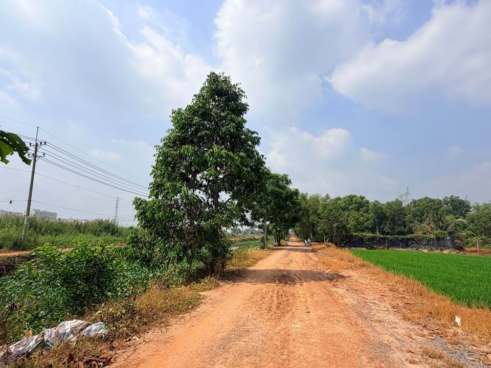 Đất vườn Huyện Bình Chánh 1262m² giá 2.65 tỷ - Đầu tư sinh lời nhanh chóng!