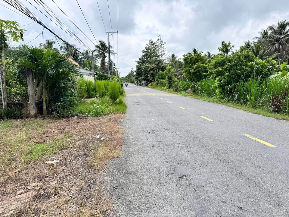 Bán đất 742,5m² mặt tiền Tỉnh Lộ 911 - Giá 1,25 tỷ, thương lượng ngay!