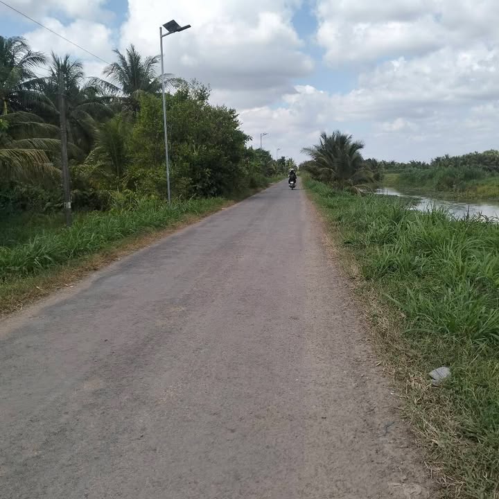 Khu vườn dừa tơ 3.04ha tại Xã Huyền Hội, Huyện Càng Long - Giá chỉ 400 triệu