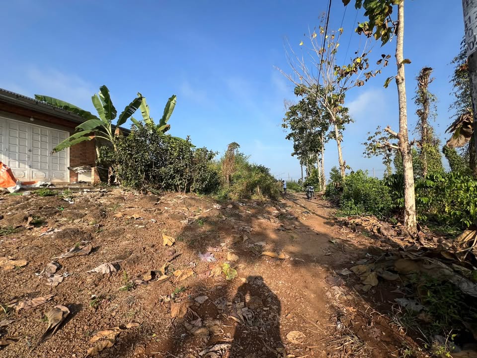 Đất thổ cư 150m² tại Phú Vinh, Định Quán, Đồng Nai chỉ 265 triệu - Đầu tư sinh lời ngay!