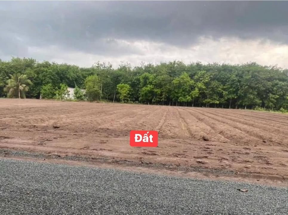 Đất nền 1000m² tại Thủ Đức - Giá chỉ 170 triệu, đầu tư sinh lời ngay!