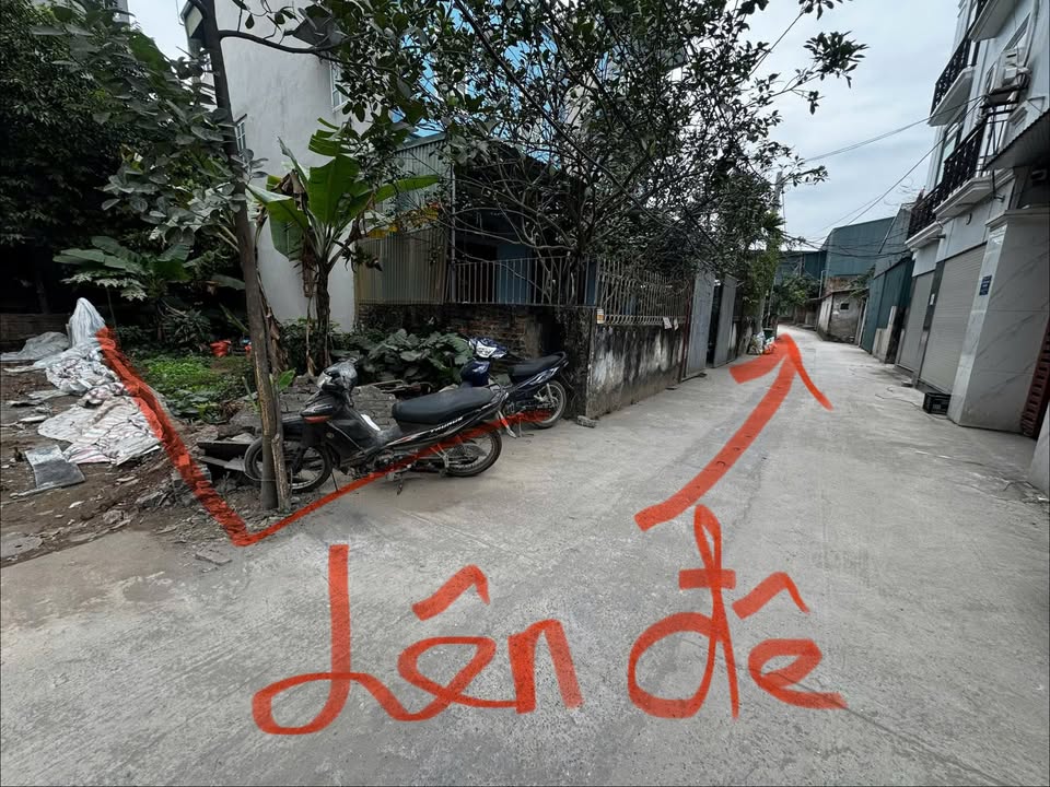 Đất nền Đông La, 50m² - Cơ hội đầu tư tuyệt vời!