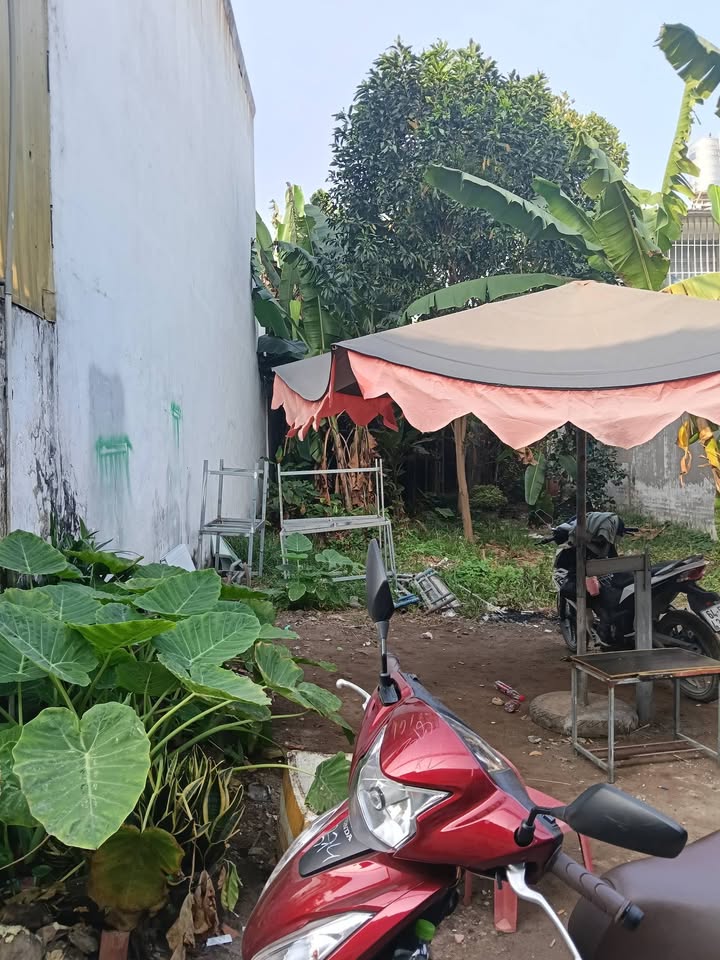 Đất nền Đông Thạnh Hóc Môn 80m² giá 2.3 tỷ - Sổ hồng riêng, xây dựng tự do!