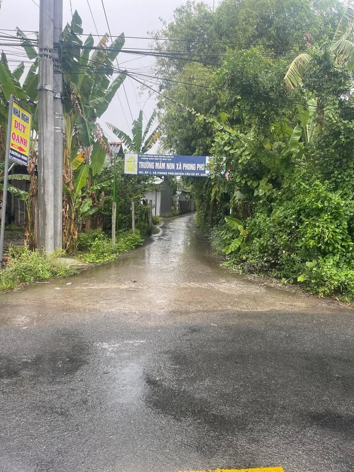 Đất nền mặt tiền huyện lộ 51, xã Phong Thạnh, 192m² giá 210 triệu - Cơ hội đầu tư hấp dẫn!