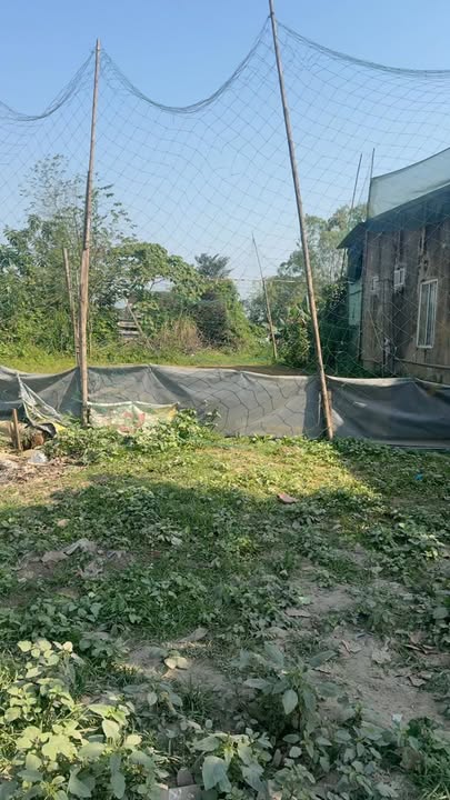 Đất nền đường 7 Thị trấn Kim Nhan 130m² giá 3 tỷ - Cơ hội đầu tư tuyệt vời!