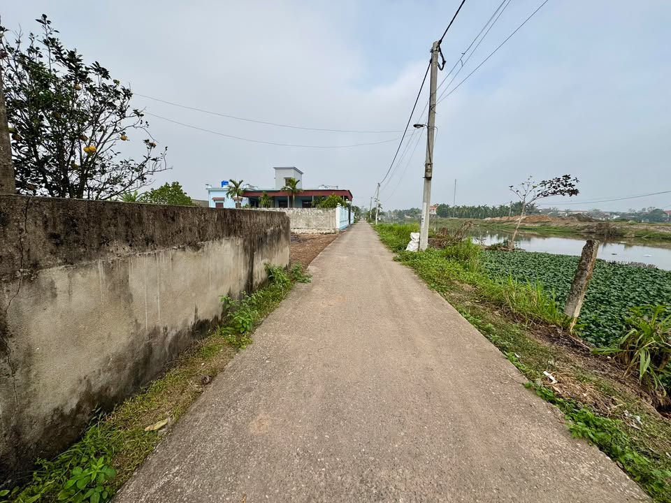 Đất nền xã Nga Tiến 100m² giá 500 triệu - Cơ hội đầu tư hấp dẫn!