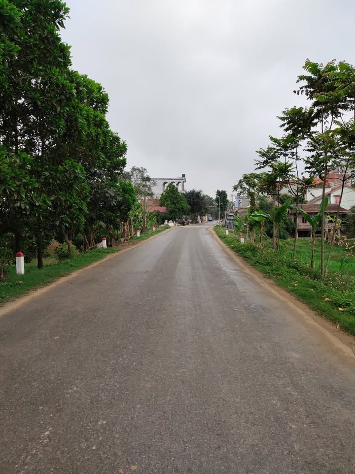 Đất mặt đường Tỉnh lộ 506B, xã Xuân Lập, 125m² - Đầu tư sinh lời tốt!