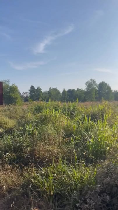 Đất dự án 7 sào xã Giang Điền, Trảng Bom - Giá 14 tỷ - Cơ hội đầu tư tuyệt vời!