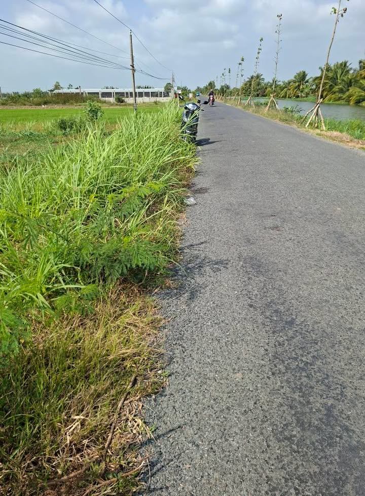 Đất nền Ấp Trung Tân, Gò Công Đông 1990m² giá 1.27 tỷ - Cơ hội đầu tư hấp dẫn!