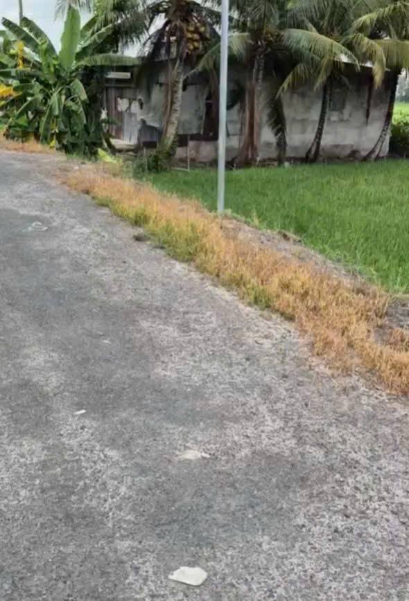 Đất nông nghiệp Mỹ Phú Đông, Thoại Sơn 65.000m² - Đầu tư sinh lời ngay!