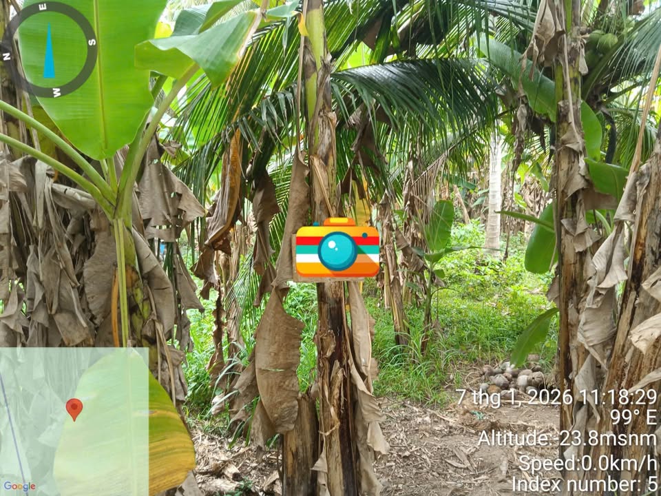 Đất nền Xã Trung Nghĩa, Vũng Liêm 539m² giá 570 triệu - Đường nhựa ô tô vào tận nơi!