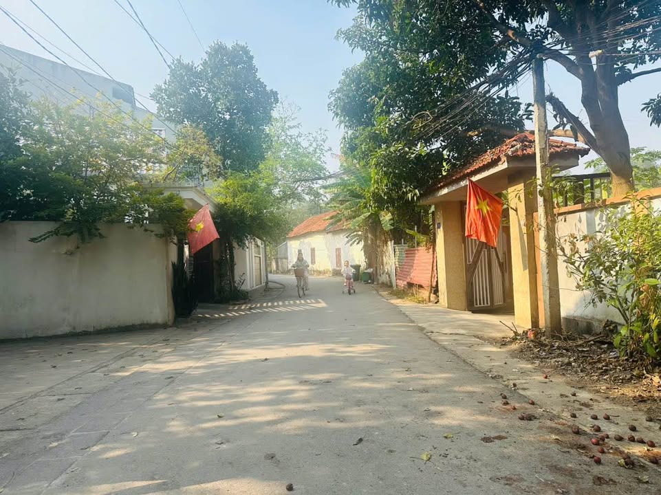 Đất Liên Bảo Vĩnh Phúc 160m² giá 2.6 tỷ - Địa điểm lý tưởng cho đầu tư