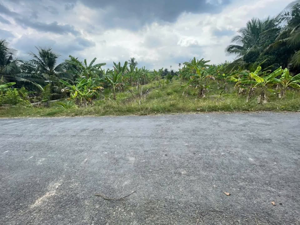 Đất thổ cư Long Hòa-Bình Đại 3251m² giá 4.03 tỷ - Mặt tiền thông thoáng, thuận lợi!