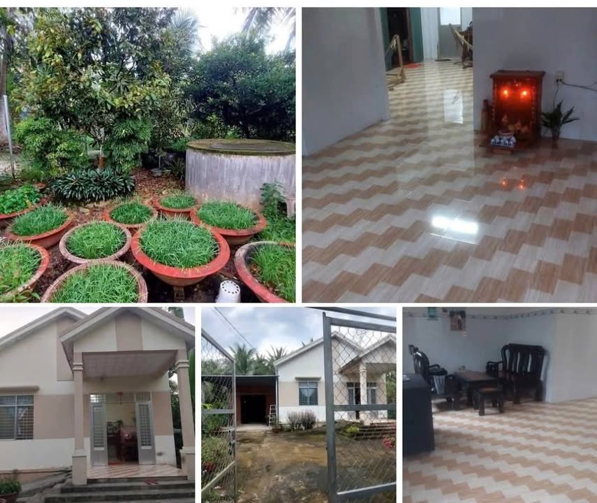 Nhà bán gấp ở Phú Túc, Châu Thành, Bến Tre 789m² - Cơ hội an cư lý tưởng!