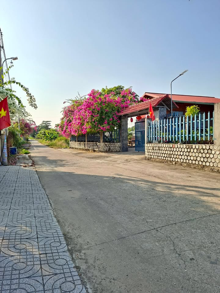 Đất thổ cư 118m² xã Châu Pha, Phú Mỹ - Giá chỉ 1.6 tỷ, thương lượng ngay!