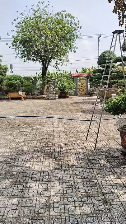 Đất vườn 2000m² tại Xã Dầu Giây, Đồng Nai - Giá chỉ 12 tỷ, đầu tư sinh lời!