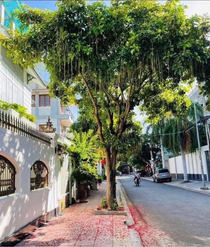 Nhà mặt tiền Trần Cao Vân, Vũng Tàu 93m² giá 8.5 tỷ - Đầu tư sinh lời ngay!