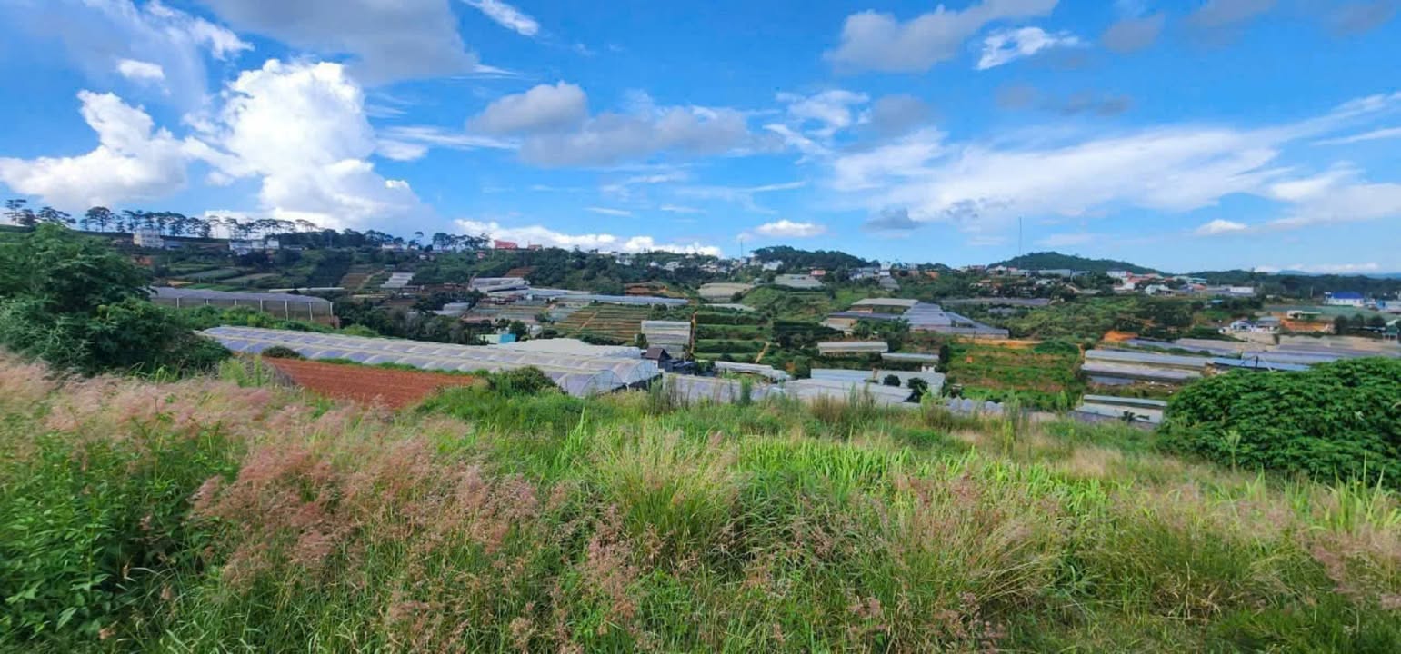 Đất nền Xuân Thọ, Đà Lạt 1054m² giá 3.3 tỷ - View thoáng đẹp, đầu tư sinh lời!