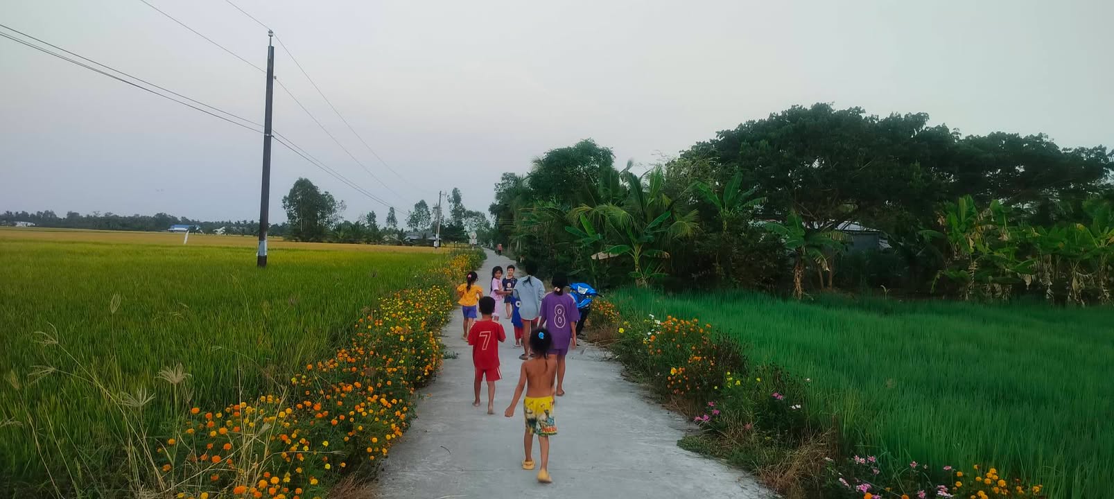 Đất nền mặt tiền đường lộ đal, xã Thạnh Mỹ, 300m² giá chỉ 349 triệu - Pháp lý sổ hồng chính chủ!