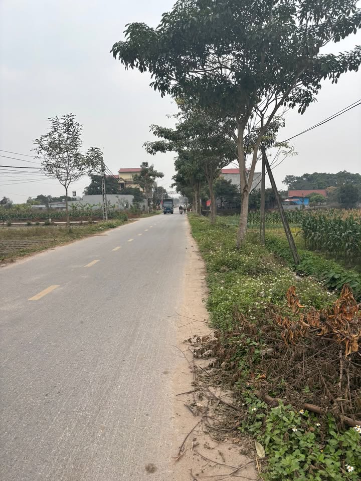 Đất nền trục chính xã Danh Thắng, Hiệp Hòa, Bắc Giang 112m² giá 2 tỷ - Đầu tư sinh lời lý tưởng!