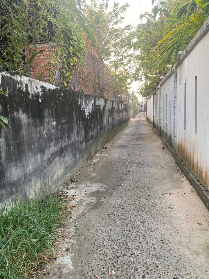 Đất thổ cư hẻm Đinh Bộ Lĩnh, Phước Hội 100m² giá 590 triệu - Cơ hội đầu tư hấp dẫn!