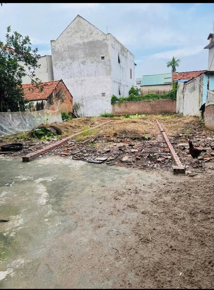 Đất nền Lạc Đạo, Hưng Yên 50m² chỉ từ 900 triệu - Đầu tư sinh lời ngay!