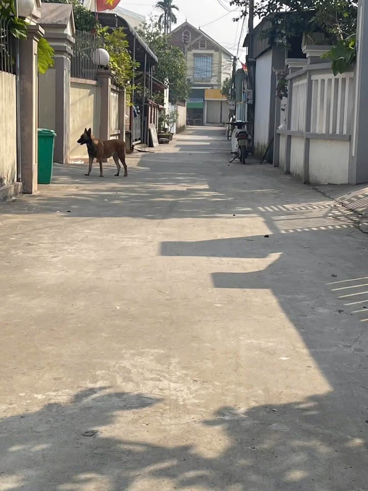 Đất nền Xã Quảng Định, Huyện Quảng Xương 150m² giá thỏa thuận - Cơ hội đầu tư tuyệt vời!