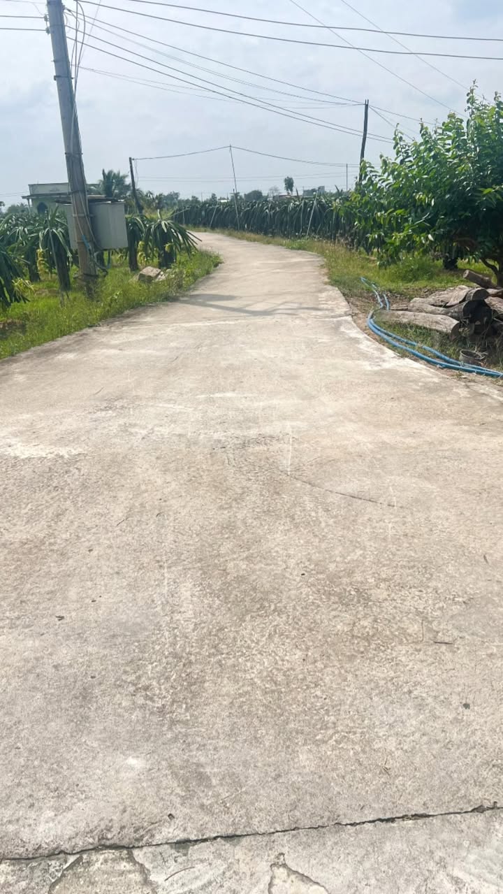 Đất nông nghiệp 1 sào 7 cây Xuân Điền, Hàm Hiệp giá 830 triệu - Sổ riêng, điện nước đầy đủ!