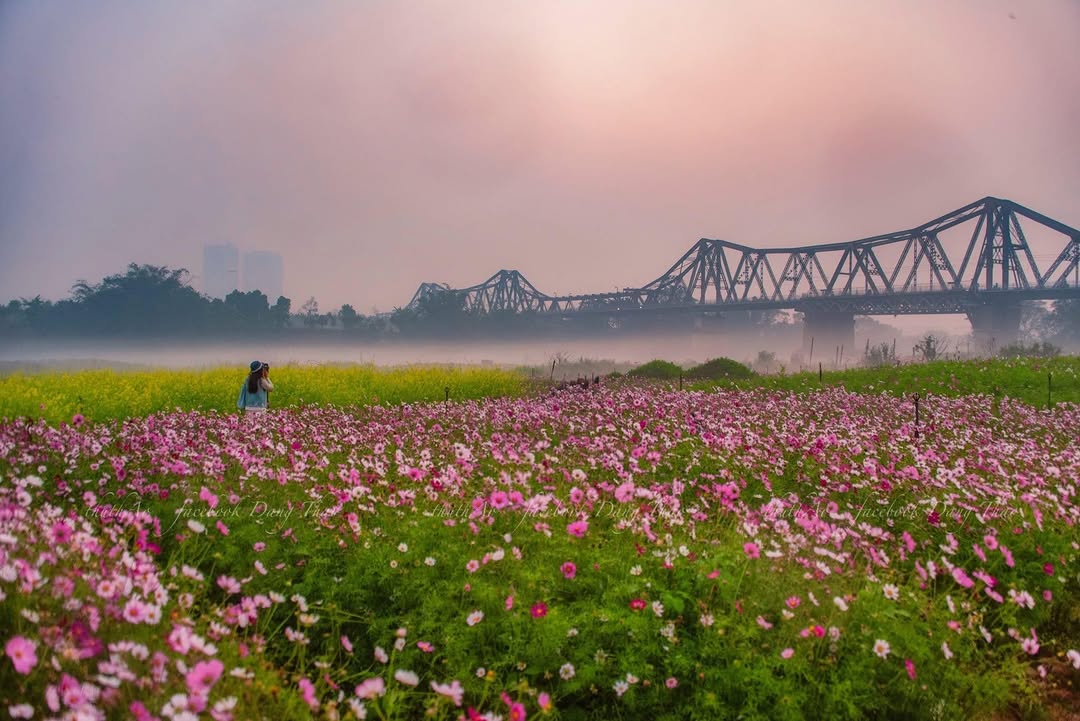 Đất nền TDP Riễu, Xã Dĩnh Trì 99m² - Sổ đỏ chính chủ, 3 mặt tiền