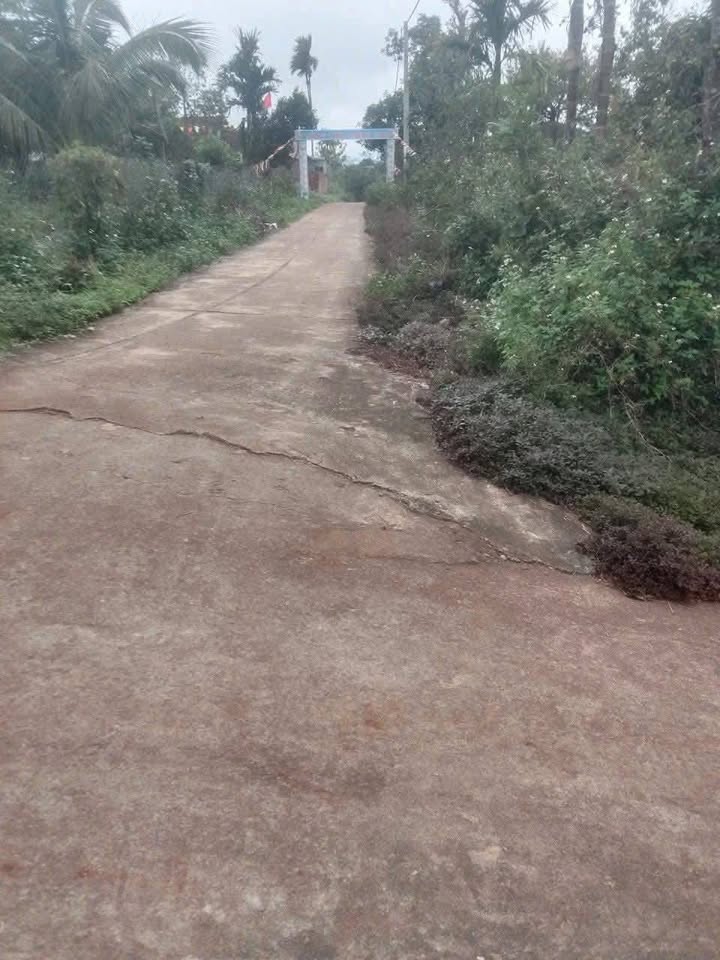 Đất nền 512m² đường Tỉnh Lộ 15, Huyện Cư Kuin - Cơ hội đầu tư giá rẻ!