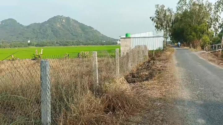 Đất nền Vành đai Óc Eo, Thoại Sơn, An Giang 1050m² giá 10.5 tỷ - Cơ hội đầu tư sinh lời!