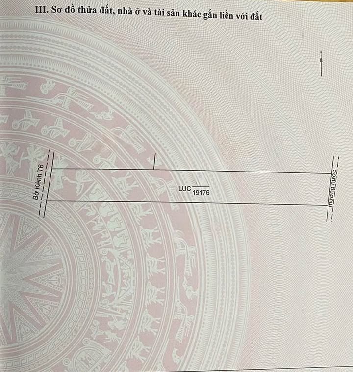 Đất nền 19 công Kênh T6, Vĩnh Phú, An Giang - Sổ hồng chính chủ, giá chỉ 1.9 tỷ