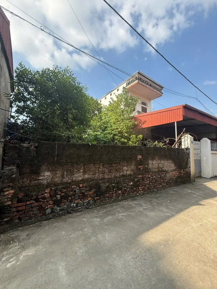 Đất đẹp Đồng Tân, 195m² giá 3 tỷ – Cơ hội đầu tư sinh lời!