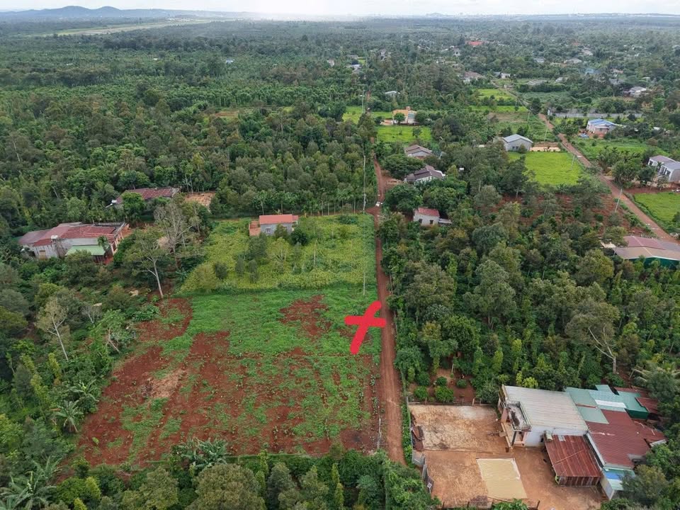 Đất nền liền kề Eakmat, Hòa Khánh, 125m² giá chỉ 500 triệu - Đầu tư sinh lời ngay!